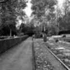 friedhof am hoernli sect4