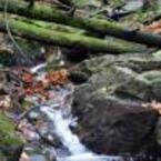 torrente monti di roveredo