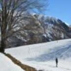 faggio stinche gola di lago