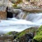 fiume valle di mergoscia