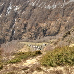 Cascine di Faedo viste dall'alto.