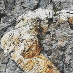 Vena di quarzo in mezzo allo gneiss.