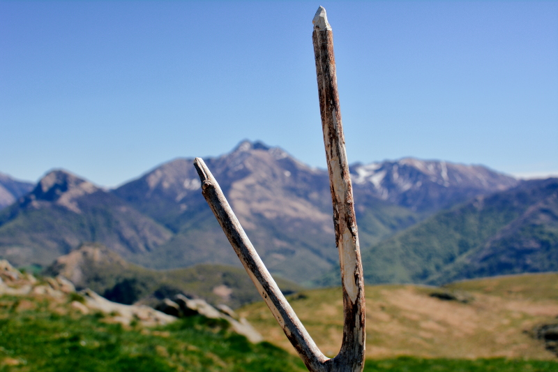 Cima di Medeglia