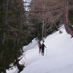 Nel bosco.