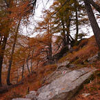 Autunno in Verzasca.