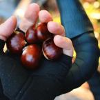 Castagne.