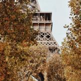 Tour Eiffel, celata dalle piante.
